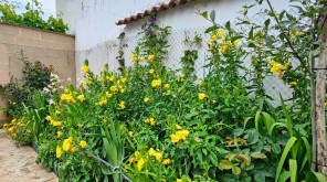 Jardín